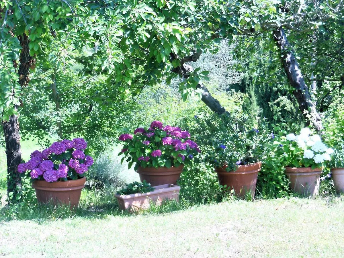 Farm stay La Fontaiola Villa Le Piazze