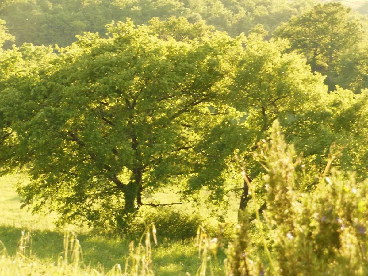 Farm stay La Fontaiola Villa Le Piazze Italy