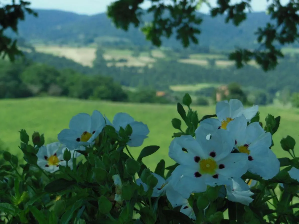 Farm stay La Fontaiola Villa Le Piazze Italy